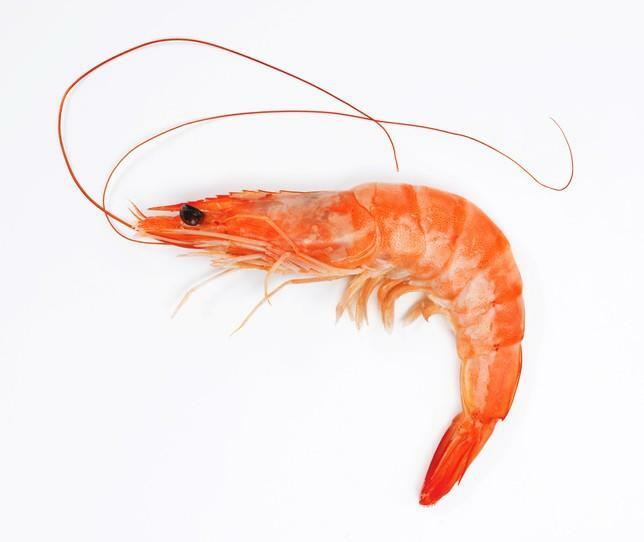 (l)whole Shrimp(10pcs)