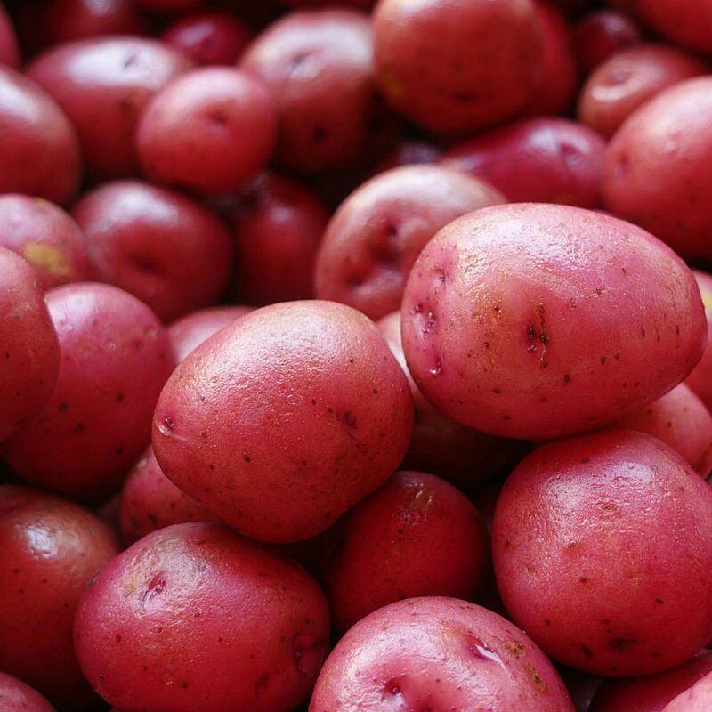 Potatoes(3)